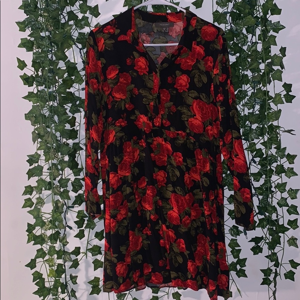 Button up rose dress